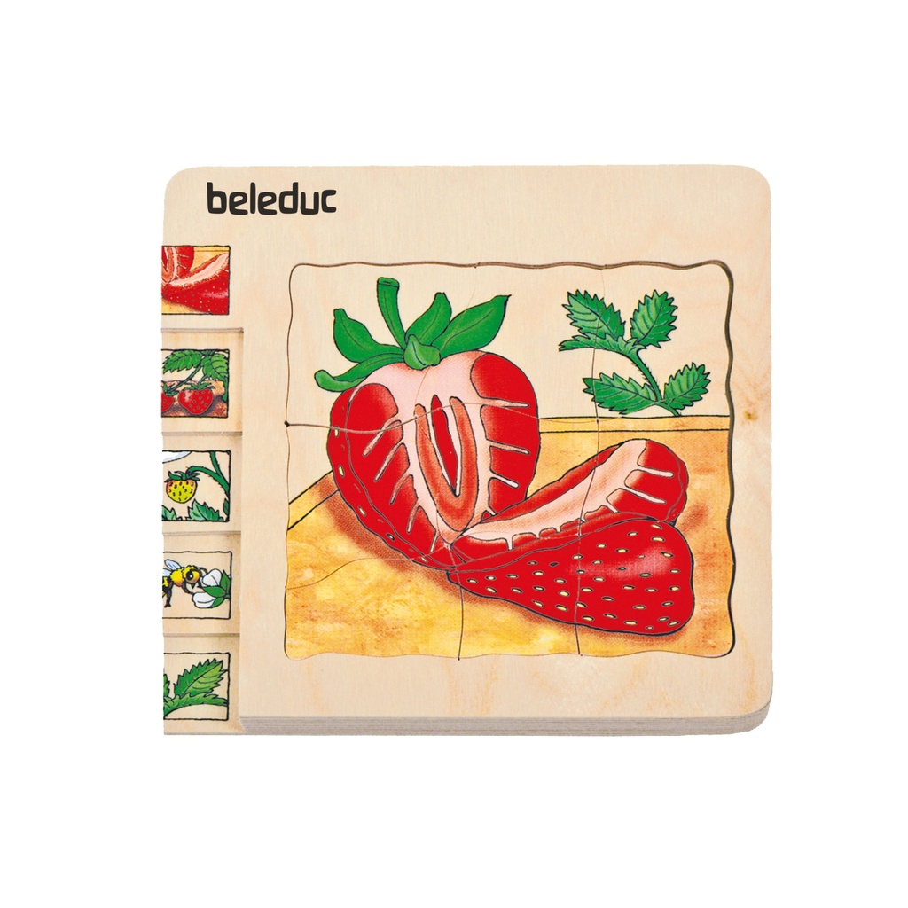 Lagenpuzzle "Erdbeere"