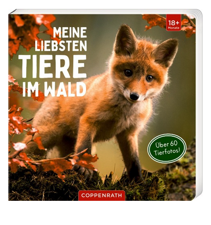 Meine liebsten Tiere im Wald
