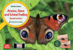 [109033W] Kamishibai - Ameise, Biene und Schmetterling