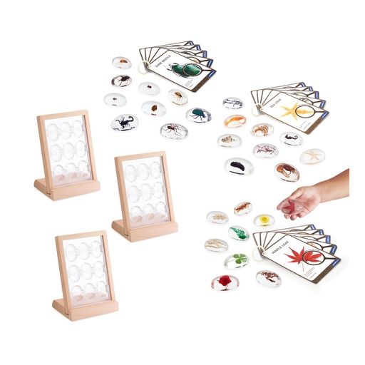 [AK88] Acryltiere & Pfanzen Set mit Display