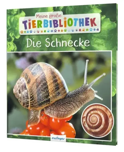 [978-3-480-23658-9] Meine große Tierbibliothek: Die Schnecke